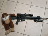 Monkey Business