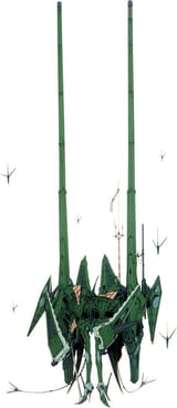 jagd6
