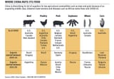 china food imports