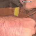 1703321722017911_thumb.jpg