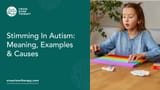 Stimming In Autism- Meaning, Examples &amp; Causes-100