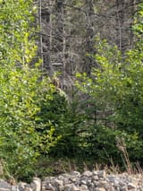 IMG_20250807_204844