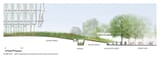 bioswale