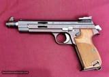 SIG-P210-5-Target
