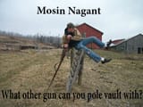 mosin pole vault