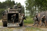 dismounted fodder