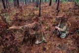 military US Army fall pine needle sniper team