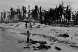 Dead Marines near Japanese bunker Red Beach one Tarawa