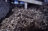 FortDouamontVerdunGermanDead