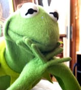 kermit