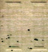 TINY_frontdoor2