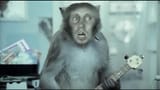 MV5BY2MzNGNmNGYtZDg5My00Zjc5LTkzNzQtNzNlNWMxZjljMmRjXkEyXkFqcGc@._V1_