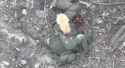 Cat eating Russian corpse_thumb.jpg