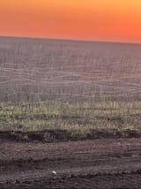 field-in-ukraine-covered-with-fiber-optic-cables-from-fpv-v0-2nq8l0qlm44f1
