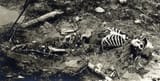 ww1skeleton