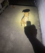 SpookSzn