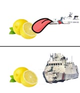 mwihzhi