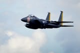 494th_Heritage_F-15E_Strike_Eagle_(5308870)