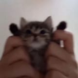HANDUP
