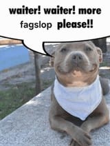 fagslop