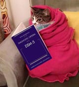 dsm5