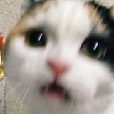 1594341616131