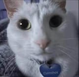 849212757