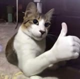 1727307054296209