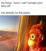 Plane Monke