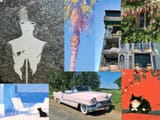 collage