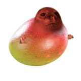 e9f39f2c61dc8e42eac3e75d23456e40