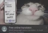 1749184704842199
