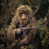 A great ape