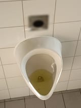 1734196963021504