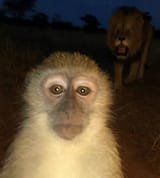it&#039;s behind me isn&#039;t it