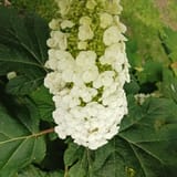 IMG_20250613_085121_612