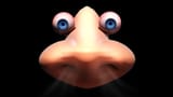 sniffer