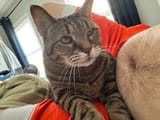 IMG_0154