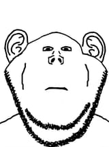 Thread 40477425 OP Image