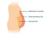 visceral-fat-diagram-ad484c