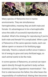 HypoderminInsemination
