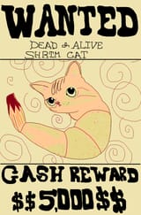 wanted.shrat