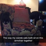 20250526_223033