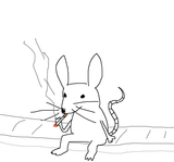 mouse