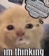 1722373996299