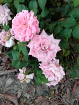 IMG_20250605_200945025