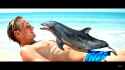 A_cute_dolphin_202506150145_k5ka5_thumb.jpg