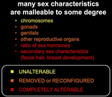 1746954619125398