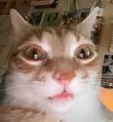 1749788183882299