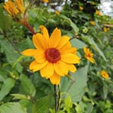 IMG_20250614_083334_094